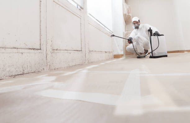 24/7 Emergency Mold Cleanup experts in North, VA